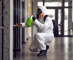 Mold Documentation for Insurance Claims in Independence, VA